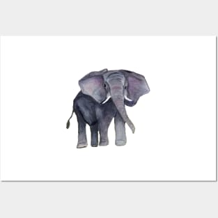 Watercolour Elephant Posters and Art